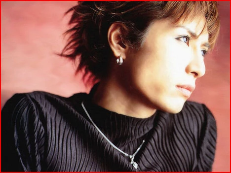 Gackt, cantor japones.